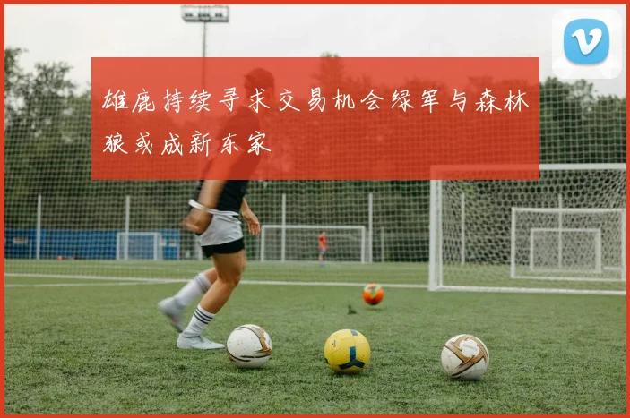 雄鹿持续寻求交易机会绿军与森林狼或成新东家