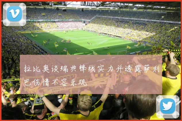 拉比奥谈瑞典锋线实力并透露萨利巴伤情不容乐观